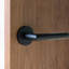 Full Double Dummy Door Lever-60503588