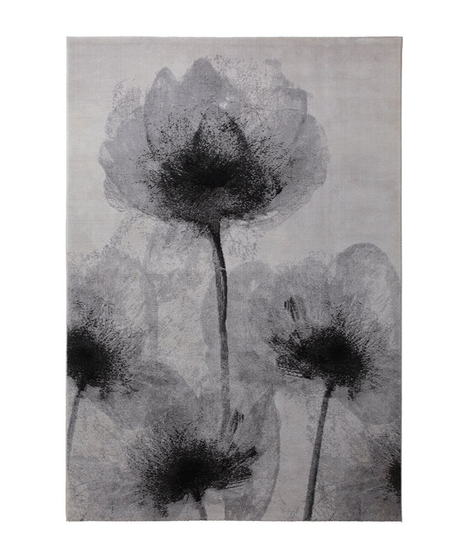 Night Shade Grey Rug, Rectangle 120 x 180cm