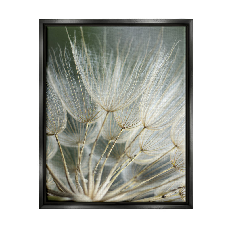 Photographie de pissenlit doux, Cadre flottant noir de jais, H 21 po x l 17 po x P 1,7 po