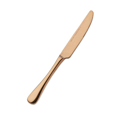 Como Stainless Steel Dinner Knife