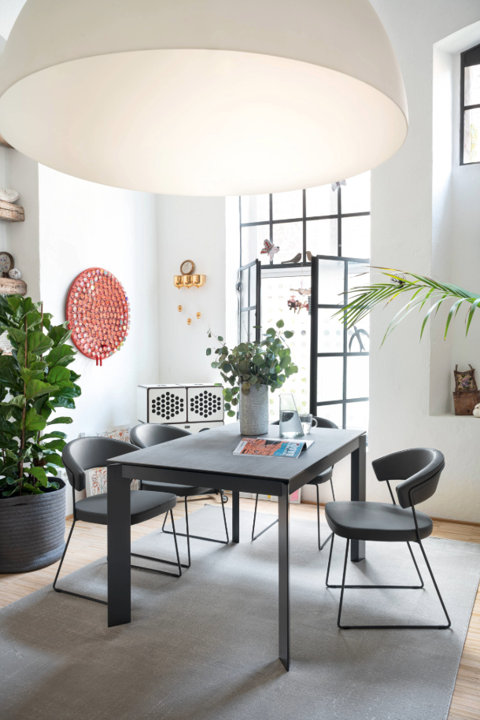 Dining Chairs