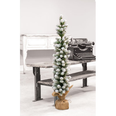 Pine Christmas Tree