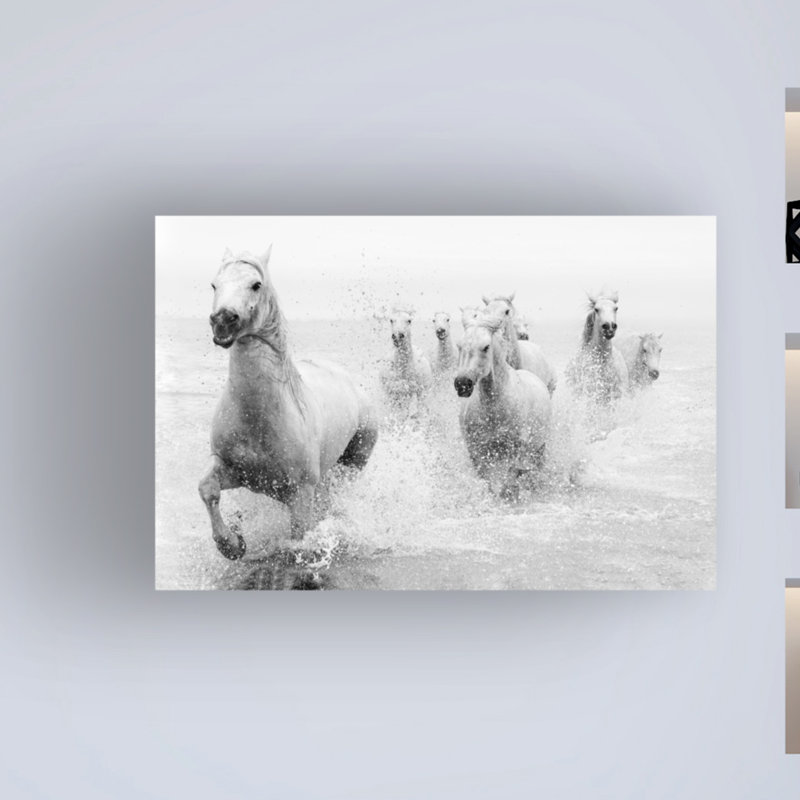 We We Coming par Marketa Zvelebil Phd - photographie sur toile tendue, H 22 po x l 32 po x P 2 po