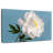 Harnek White Peony Flower-108730607