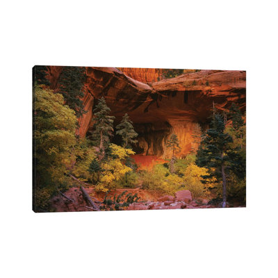 Trees In Front Of A Cave, Zion National Park, Utah, USA - Wrapped Canvas Print