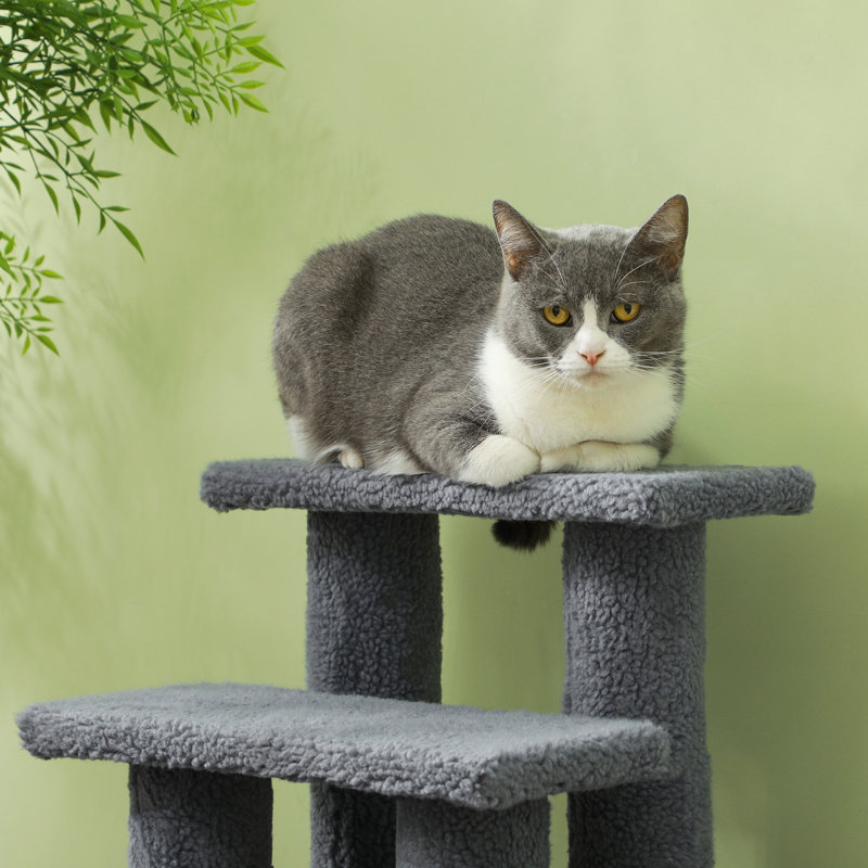 Escalier pour chat 25 po 4 niveaux, Gris