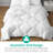 Feathers Down Comforter White Duvet Insert-113387142