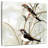 Brampt Neutral Spring II