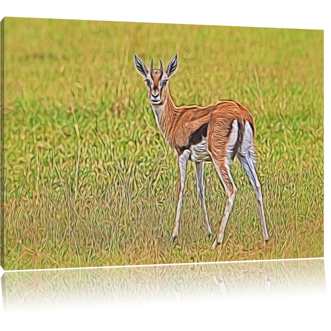 Leinwandbild Prächtige Gazelle auf Wiese in Grün