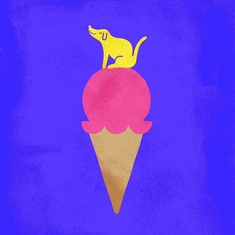 Pup and Cone - Peinture, H 12 po x l 12 po, Non, Toile tendue