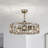 Amiyah 22'' Ceiling Fan with Light Kit