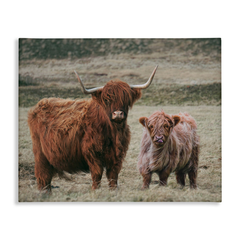 «Mom and Baby Cow Canvas», conception par Lettré et doublé, H 16 po x l 20 po