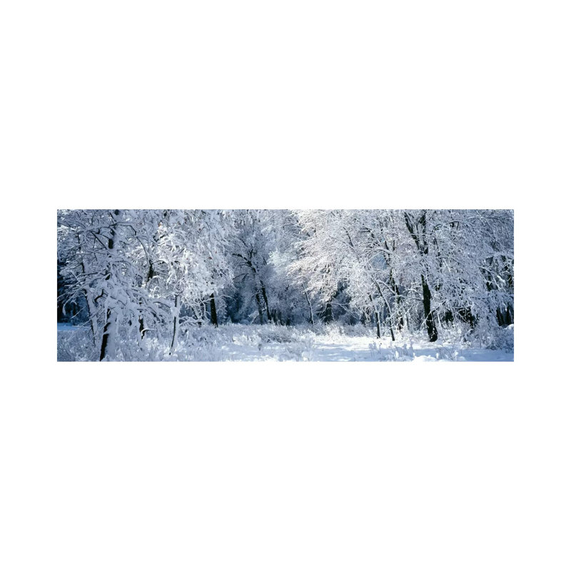 Winter, Forest, Yosemite National Park, California, USA - Wrapped Canvas Panoramic Print, 30.48 cm H x 91.44 cm W x 1.91 cm D