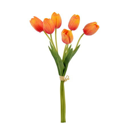 TULIP BOUQUET