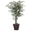 Série de ficus artificiels panachés-67117258