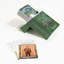 The Secret Garden Companion Cards