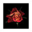 Le baiser d'une rose, reproduction de photo sur toile tendue-18516531-74403327-74403333