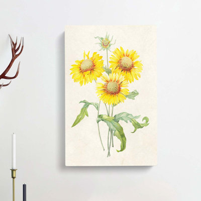 Yellow Blanket Flowers by Pierre-Joseph Redoute - Wrapped Canvas