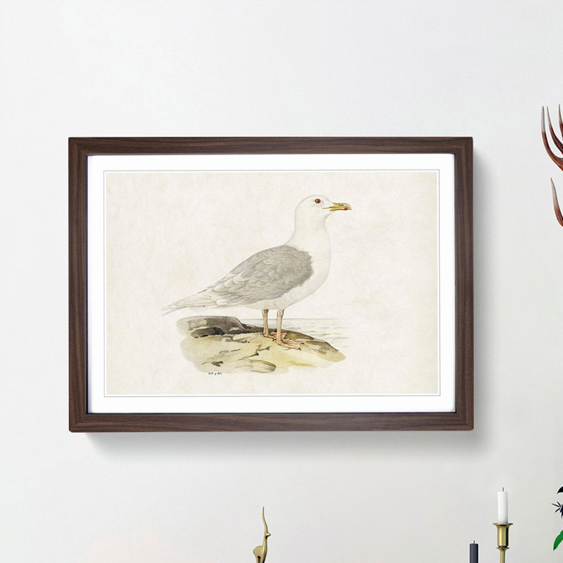 Icelandic Gull by Von Wright - Picture Frame Painting Print, 36cm H x 48cm W x 2cm D, Walnut Framed