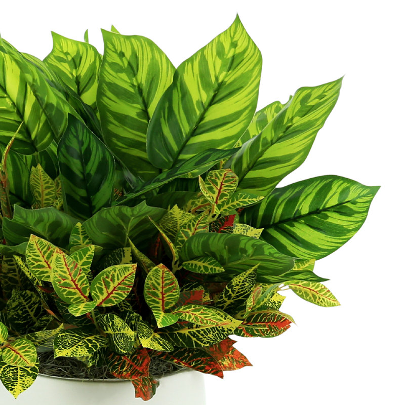 Outdoor Croton And Maranta Bush Arrangement In A Round Fiberstone Pot