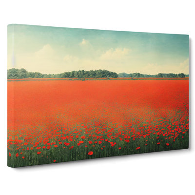 Splendid Poppy Field Flowers - Wrapped Canvas