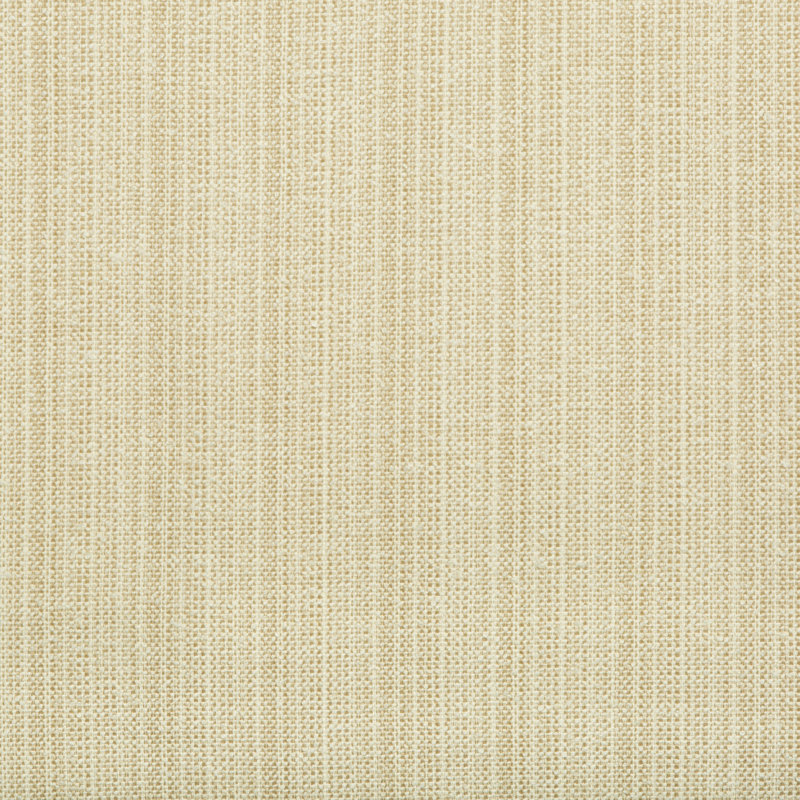 Cruiser Fabric, Beach