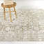 Oriental Indoor Rug-1495997134