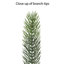 Arbre de Noël artificiel pin 9 pi avec lumières 3440-1272668538