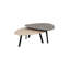 Coffee Table Nesting Coffee Table