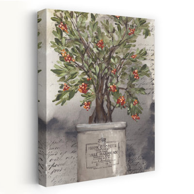Bittersweet Bush Rustic Plant Winter Art