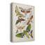Toile tendue avec châssis de qualité supérieure Antique Moths II - prête à être accrochée-748338871