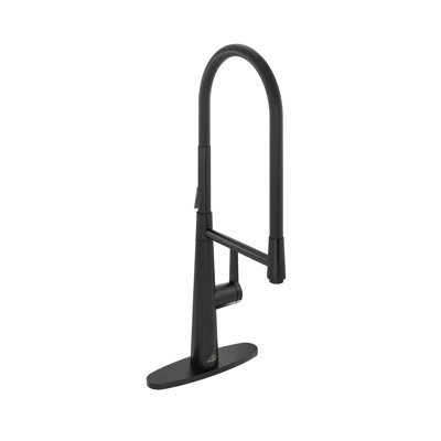 Spring Neck Standard Kitchen Faucet with Dual-Function spray head and Deck Plate
