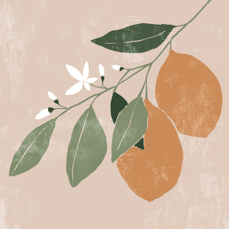 Orange Branch II, H 12 po x l 12 po