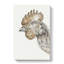 Head of a Chicken by Jean Bernard - Wrapped Canvas-55359625