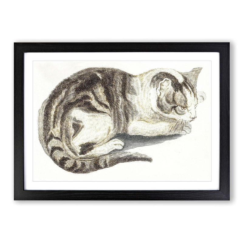 Cat by Johan Teyler - Framed Print, 36cm H x 48cm W x 2cm D, Black Framed