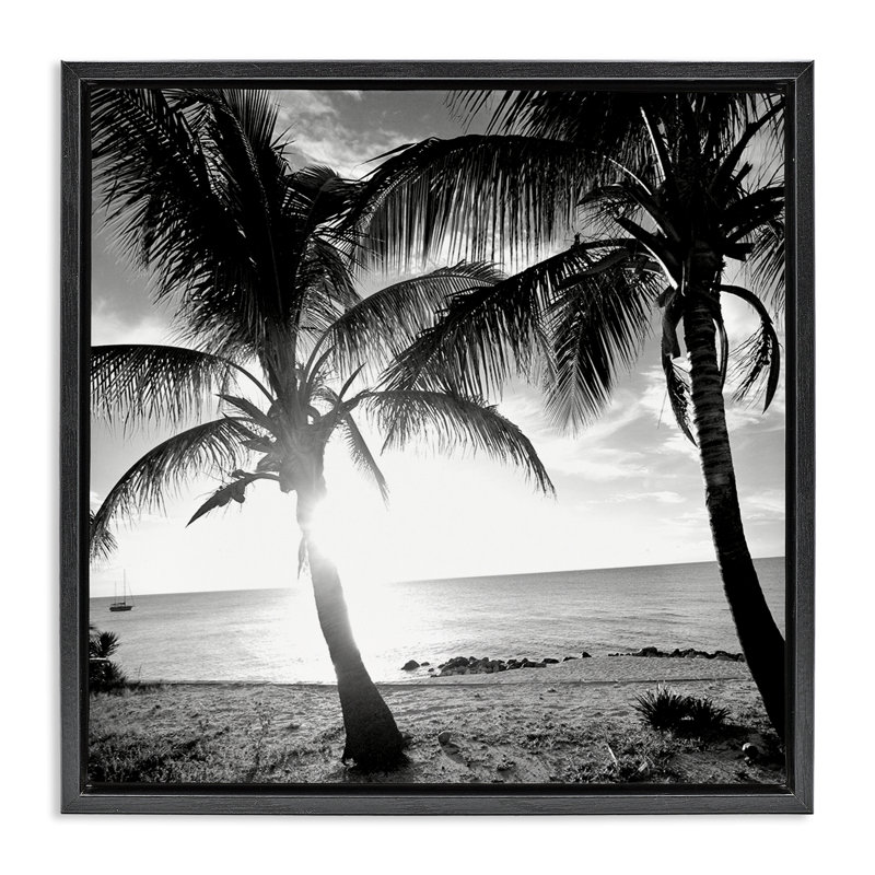 «Sunlit Palm Silhouettes» par Susan Bryant, Cadre flottant noir de jais, H 18 po x l 18 po