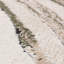 Decara Quartz Abstract High-Low Green/Beige Area Rug-1057412042