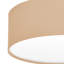 Parvin Flush Mount-1220517388