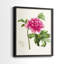 Impression encadrée PrettyPinkBotanicalsI-Premium - prête à être accrochée - aucun clou requis - aucun clou requis-1909328012-1909328011