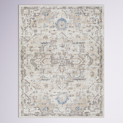 Dickison Machine Washable Oriental Gray/Brown Area Rug