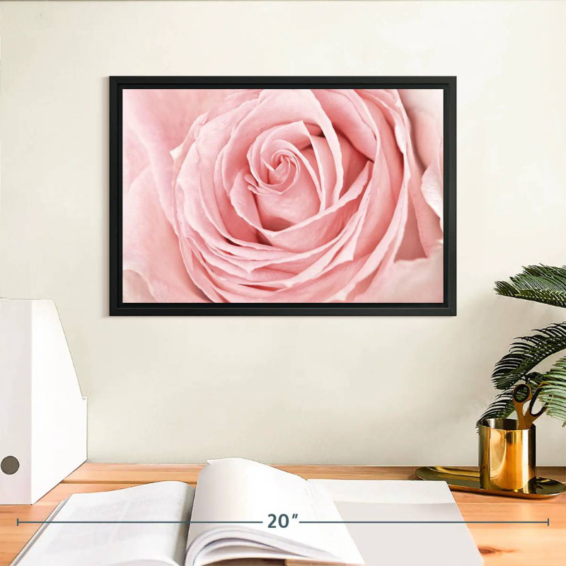 Rose rose fraîche, Cadre flottant noir, 37 po x 25 po