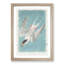 Roseate Tern Bird by John James Audubon - Picture Frame Painting Print-55610634-55610635