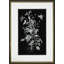Butterfly Botanical II Print