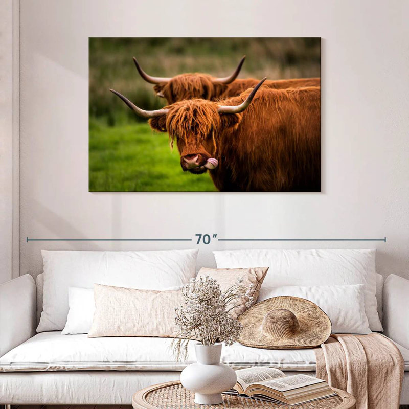 Fluffy Highland Cows, 30" H x 45" W