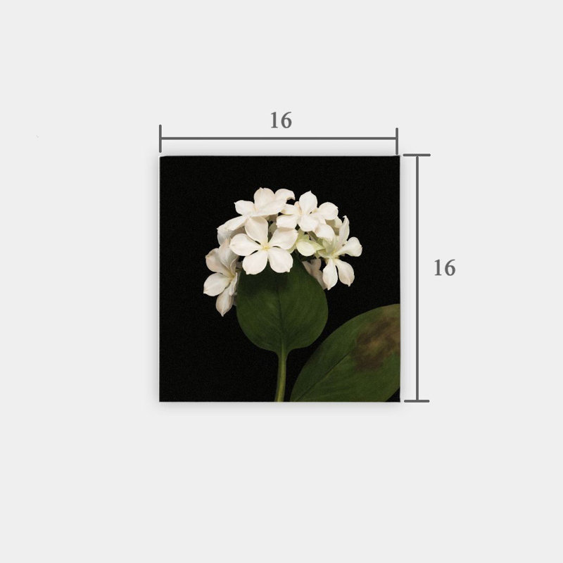 Grappe de fleurs blanches, sans cadre, murale, 16 x 16