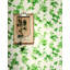Hedera Wallpaper