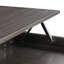 Adrianne Lift Top Four Leg Coffee Table with Storage-20638062