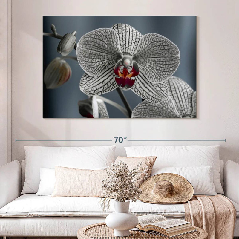 Orchidée blanche striée, H 34 po x l 51 po