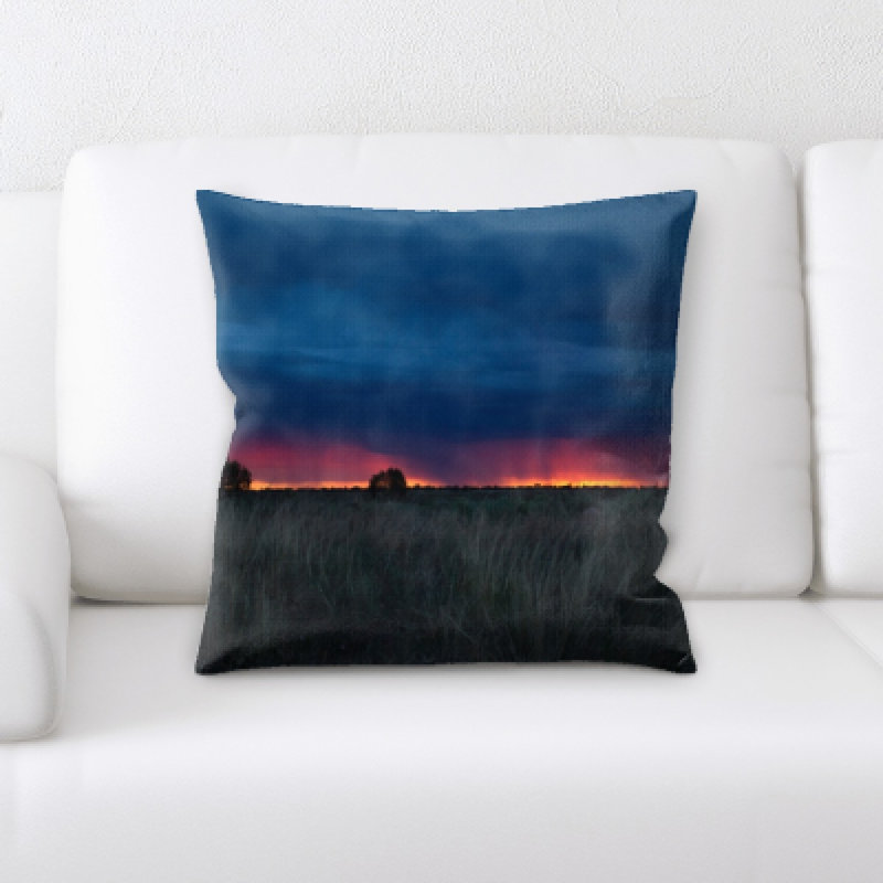 Weinberger Microsuede Throw Pillow