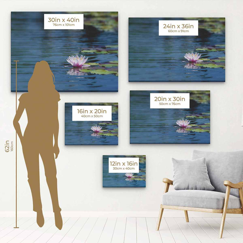 Oldany " Blue Lotus ", 12" H x 16" W, Black Floater Framed